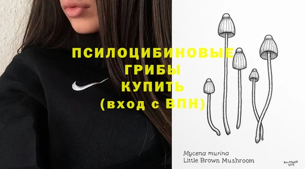 сатива Богородицк