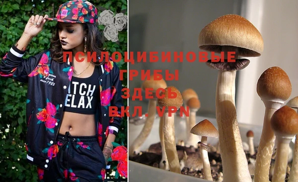 PSILOCYBIN Белоозёрский