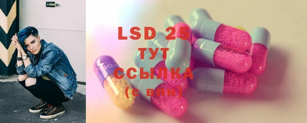сатива Богородицк