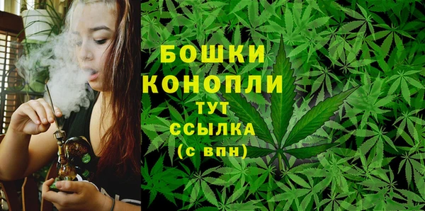 PSILOCYBIN Белоозёрский