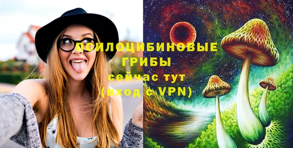 PSILOCYBIN Белоозёрский